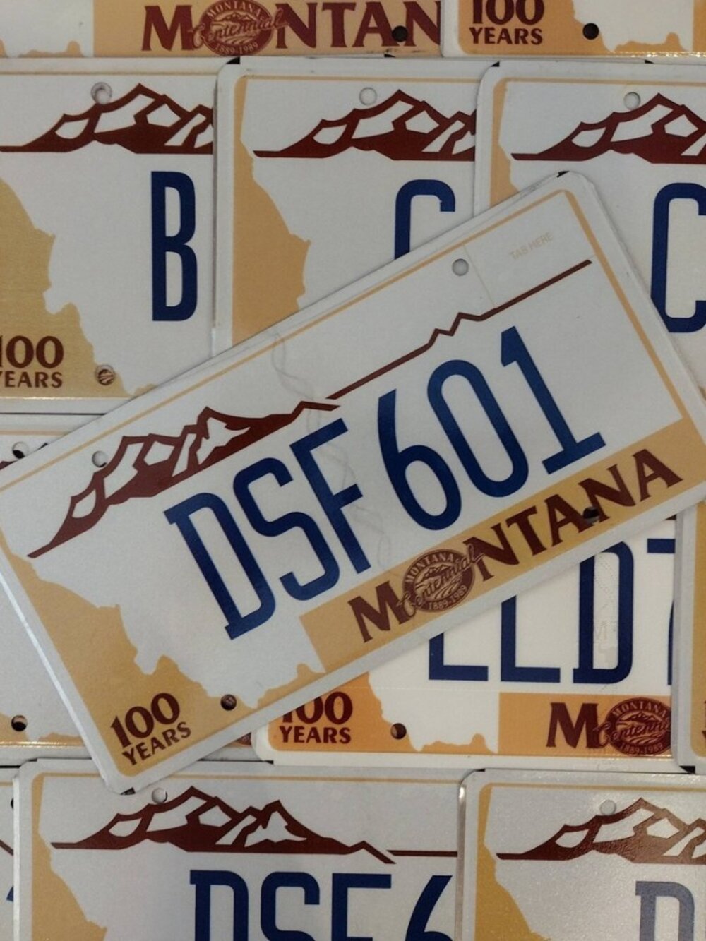Authentic Montana 100 Years Centennial License Plate Man Cave Garage Bar Decor
